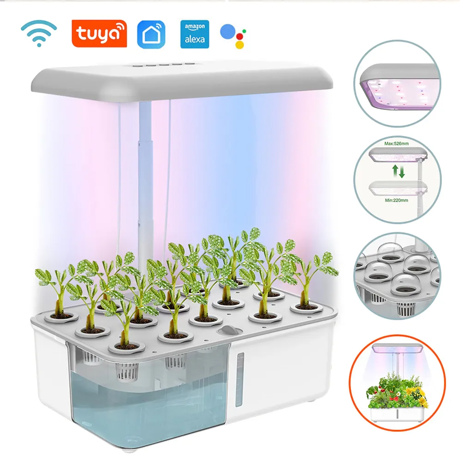Tuya WiFi Plant Hydroponics Sy - Smart Garden Gate review and price