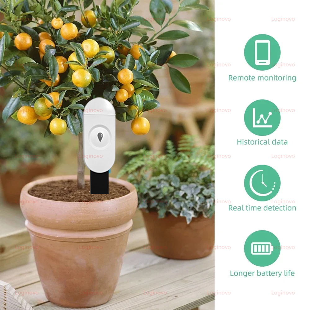 Zigbee Soil Moisture Tester Me - Smart Garden At Home review and price