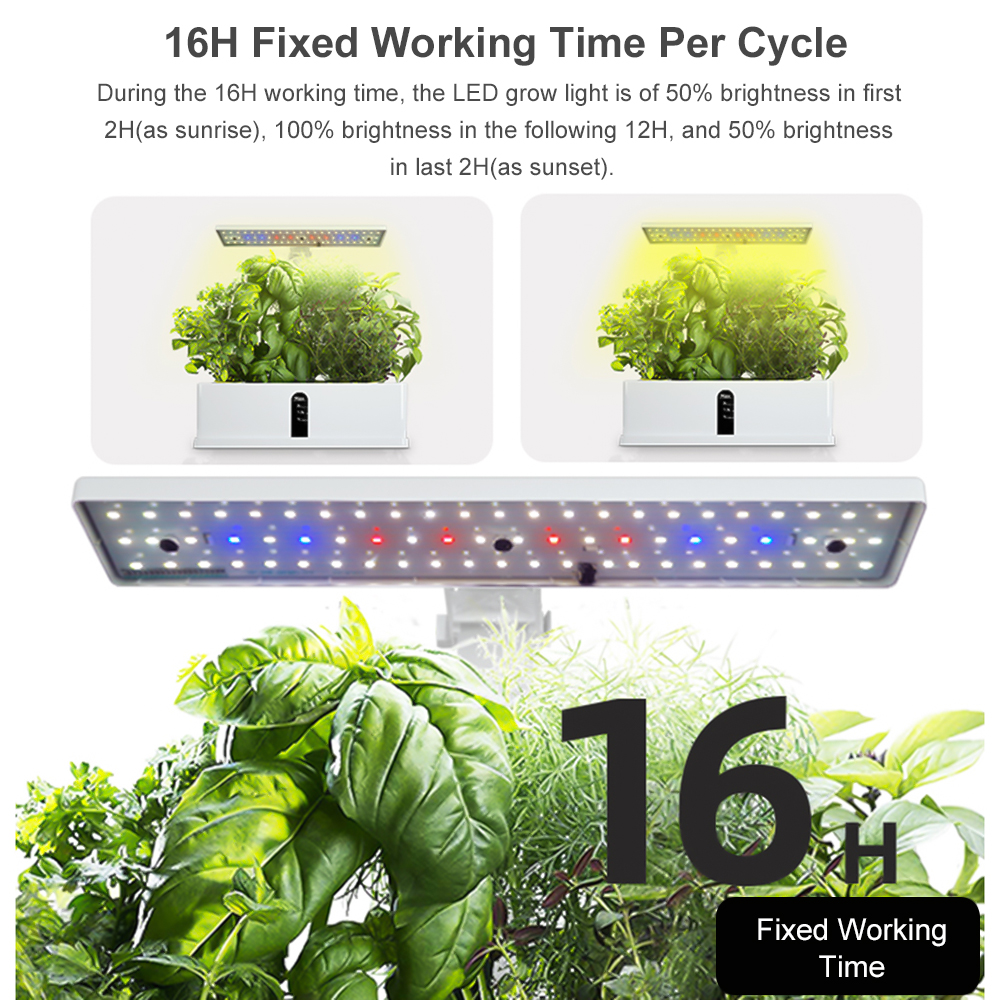 Smart Hydroponics Growing Syst - Smart Garden Gate review and price