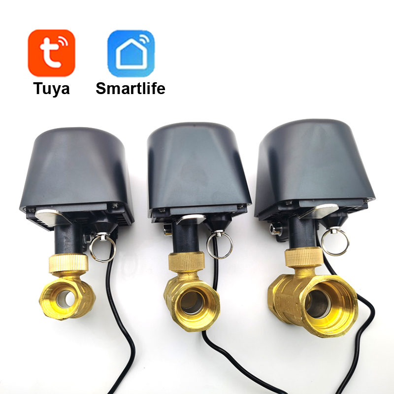 Tuya WiFi or Zigbee Water Valv - Smart Garden Tap review and price